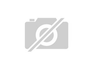 Schirm für Kinderwagen